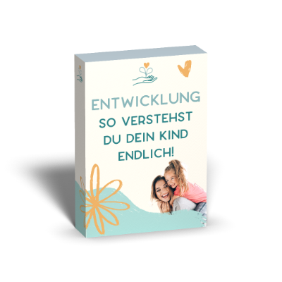 Box_Kurs_Entwicklung.png
