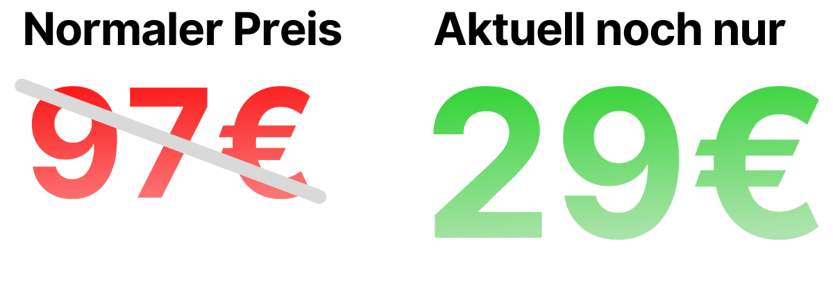 Preis Henrik und Maik (4).png