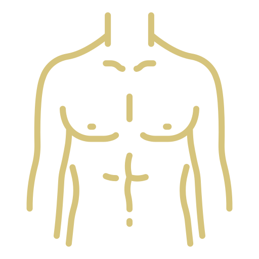 Beschreibung des Bildes