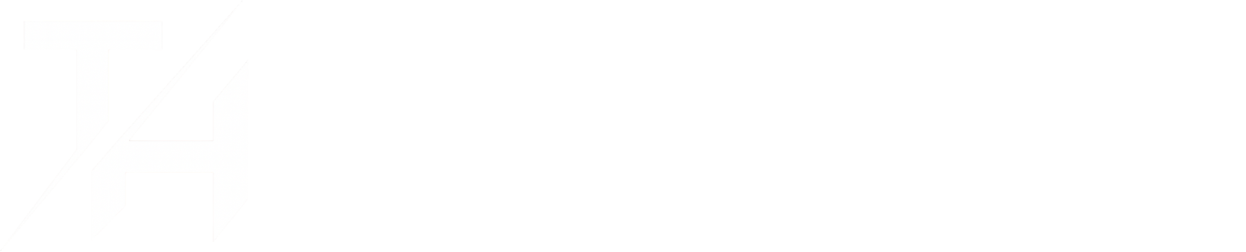 Tim Hanselmann - Logo zugeschnitten.png