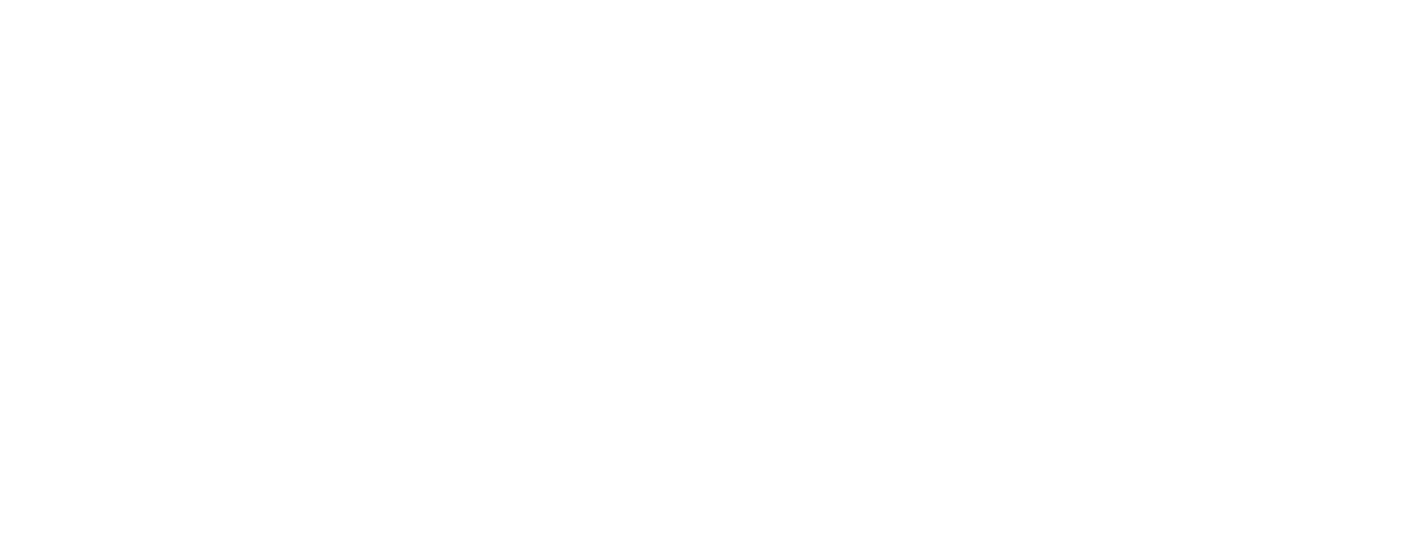 virtus logo weiß webs.png