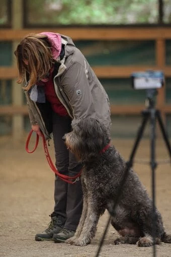 Christine Schreiner-Mader mit Hund Nimbo