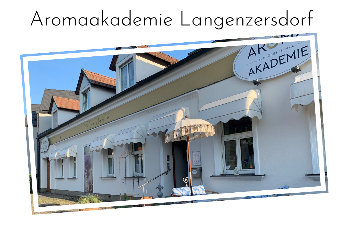 Raindrop Practitioner Ausbildung(3).png