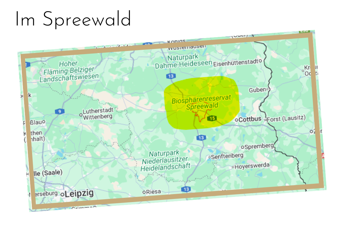 Raindrop Practitioner Ausbildung (1).png