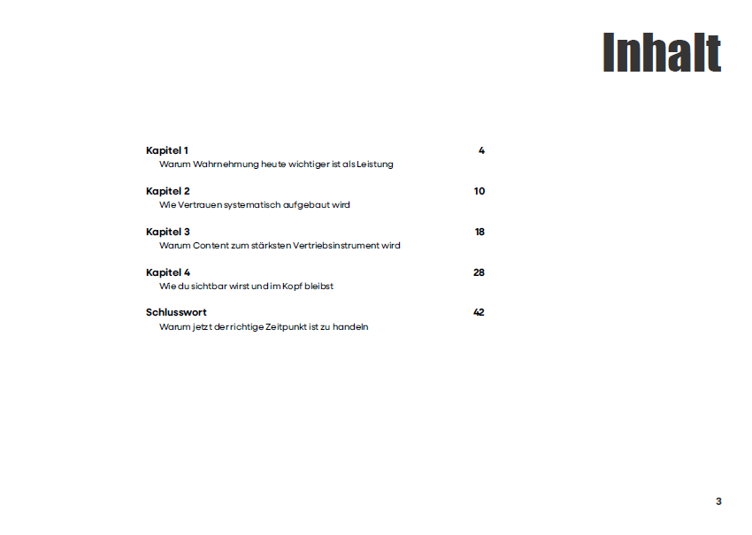 Inhaltsverzeichnis des Marketing Playbooks
