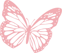 schmetterling-rosa.webp