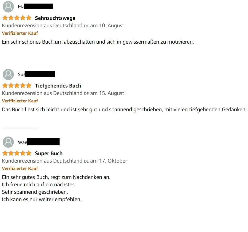 Rezensionen Buch Martin Matheo 