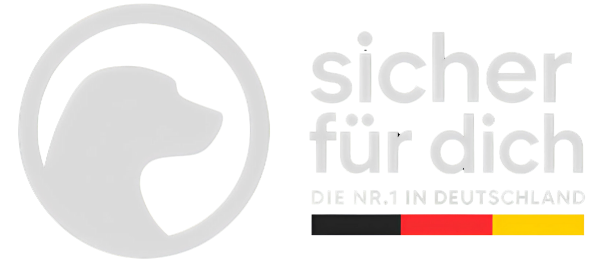 Kopie von sicher für dich (Logo) Transparent (1).png