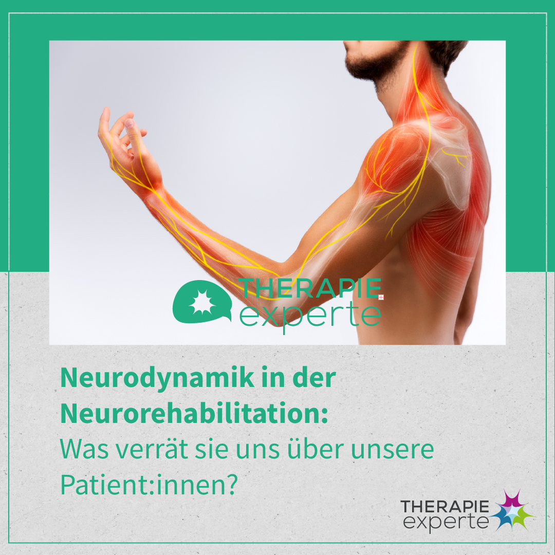 [Podcast] Neurodynamik in der Neurorehabilitation: Was verrät sie uns über unsere Patient:innen? (#139)