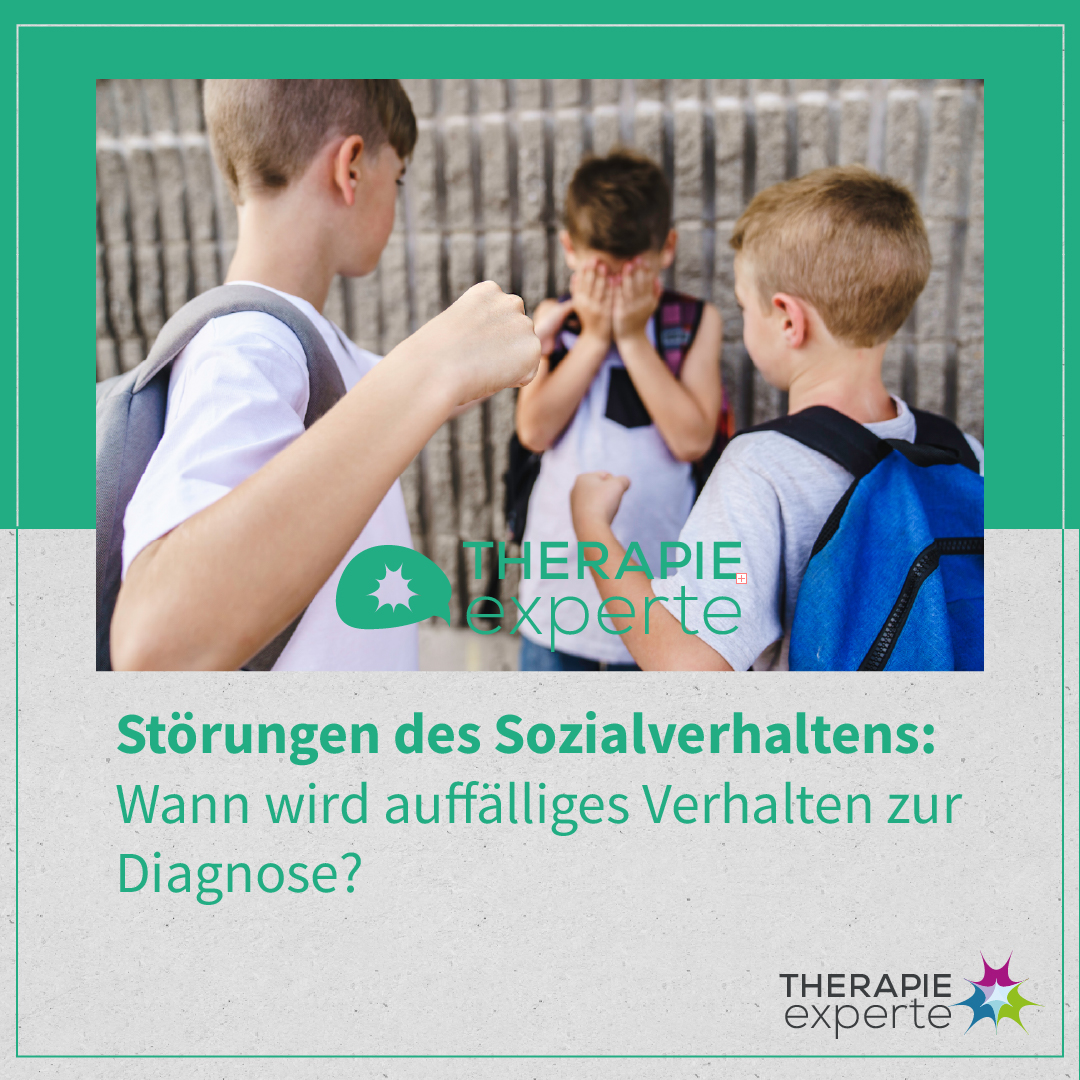 [Podcast] Störungen des Sozialverhaltens: Wann wird auffälliges Verhalten zur Diagnose? (#140)