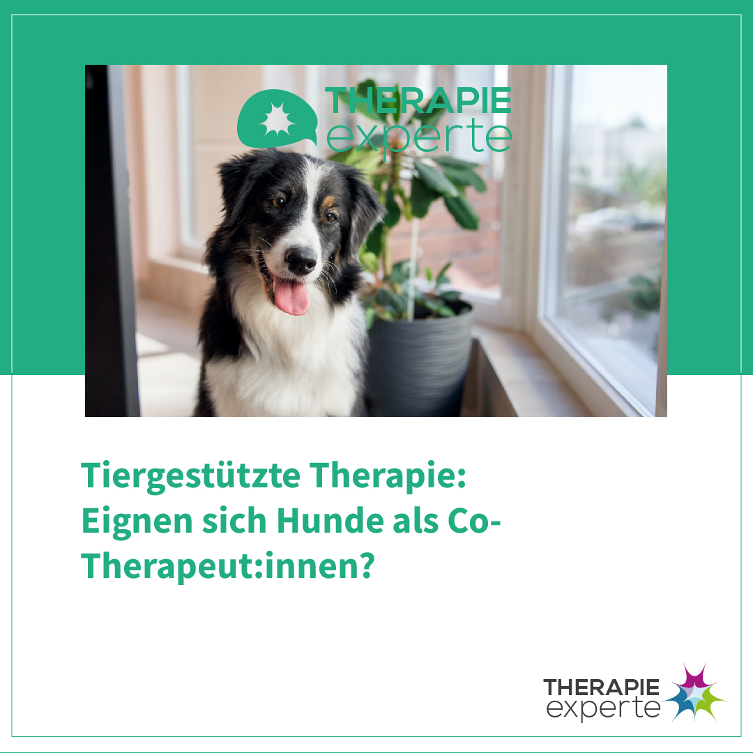 [Podcast] Tiergestützte Therapie: Eignen sich Hunde als Co-Therapeut:innen? (#107)