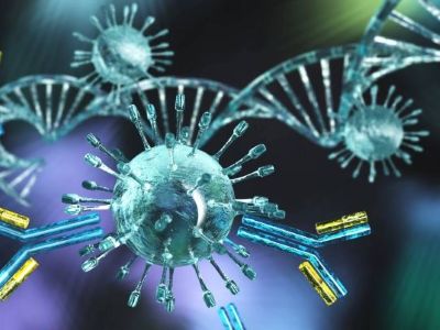 Immunsystem 4 3 .jpg