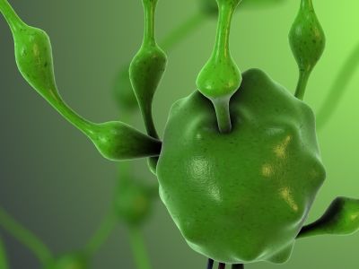 Lymphsystem 4 3 .jpg