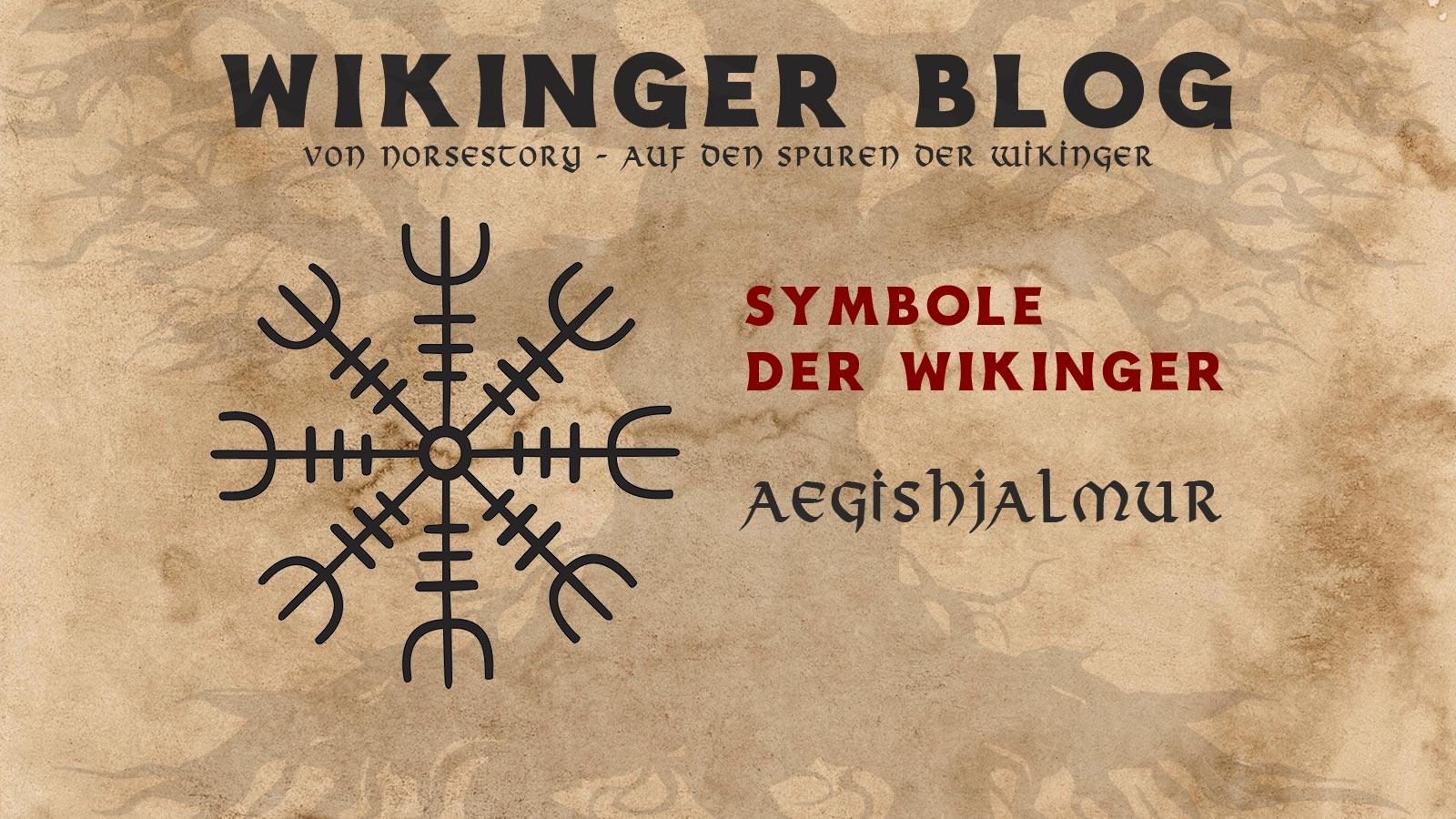 Wikinger Symbol Aegishjalmur