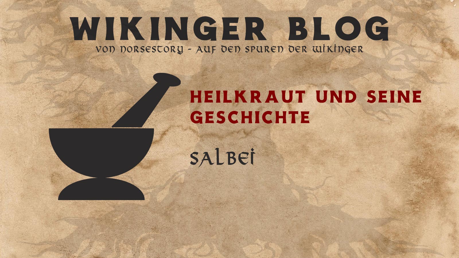 Kräuter der Wikinger: Salbei