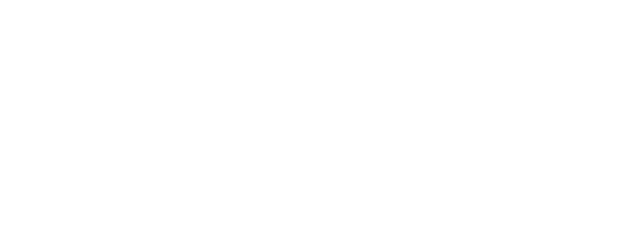 Die SEO Company UNIQUE