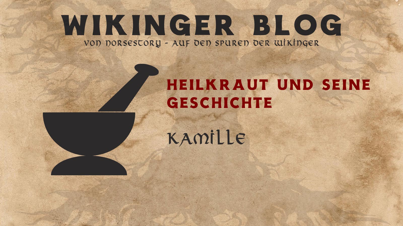 Wikinger Kräuter Kamille