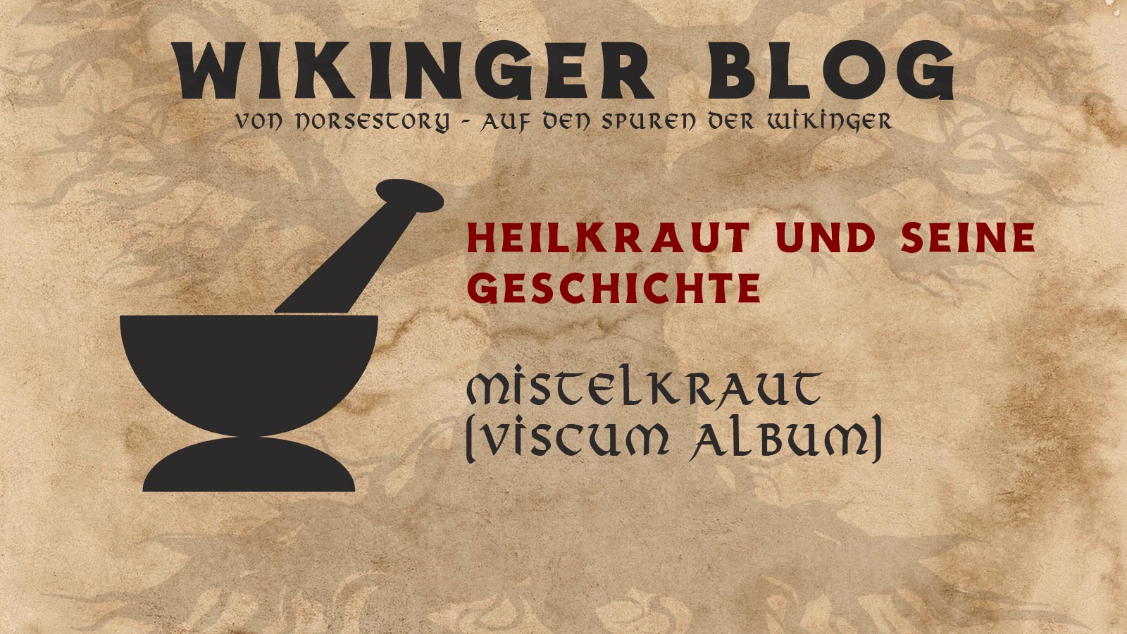 Kräuter der Wikinger: Mistelkraut