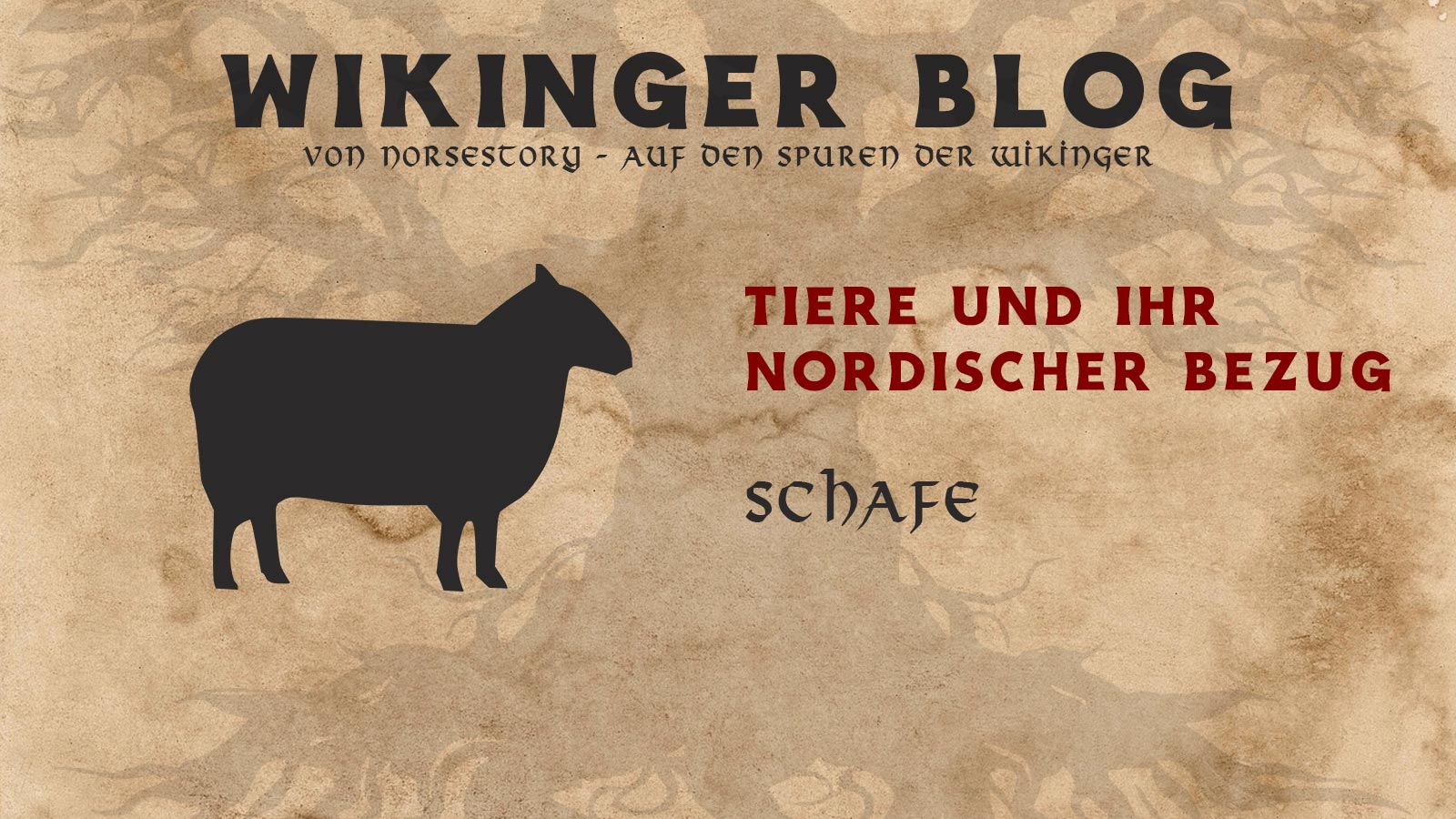 Tiere der Wikinger: Schaf