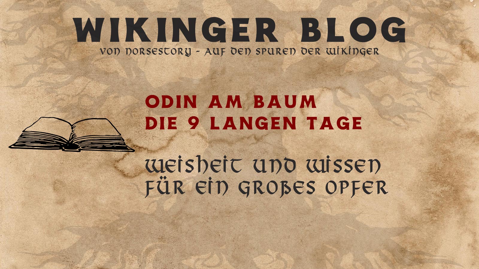 Geschichten der Wikinger: Odins Opfer