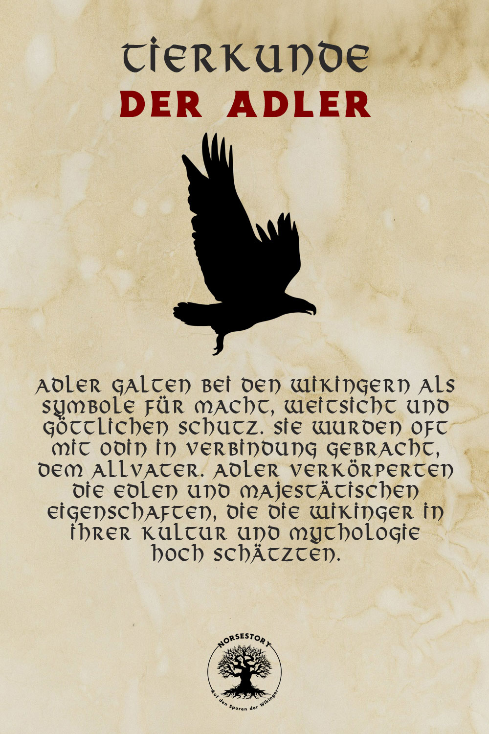 Tiere der Wikinger - Tiere aus der nordischen Mythologie: Der Adler