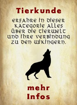 Tierkunde - Entdecke die nordischen Wikinger Tiere