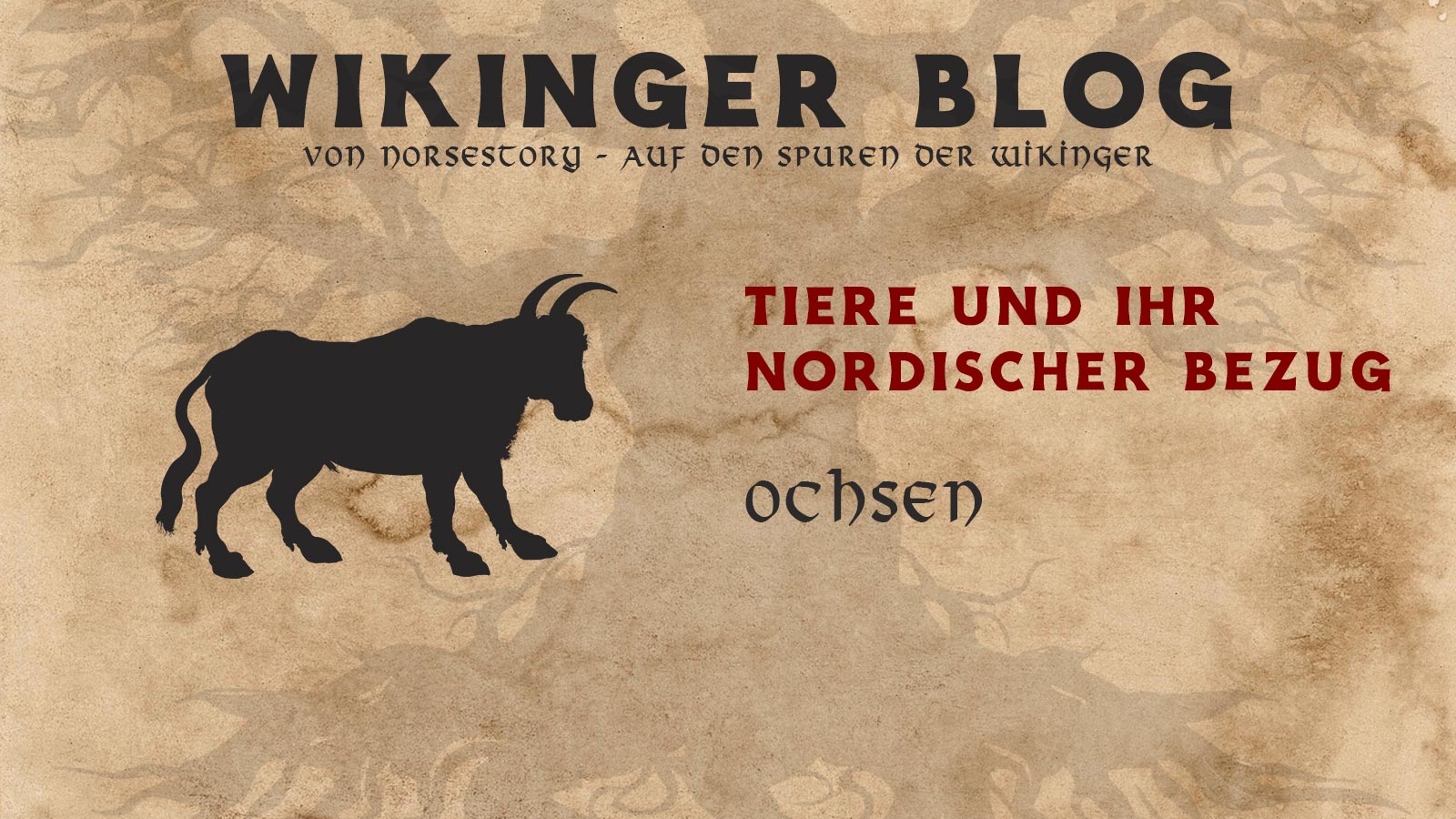 Tiere der Wikinger: Ochse