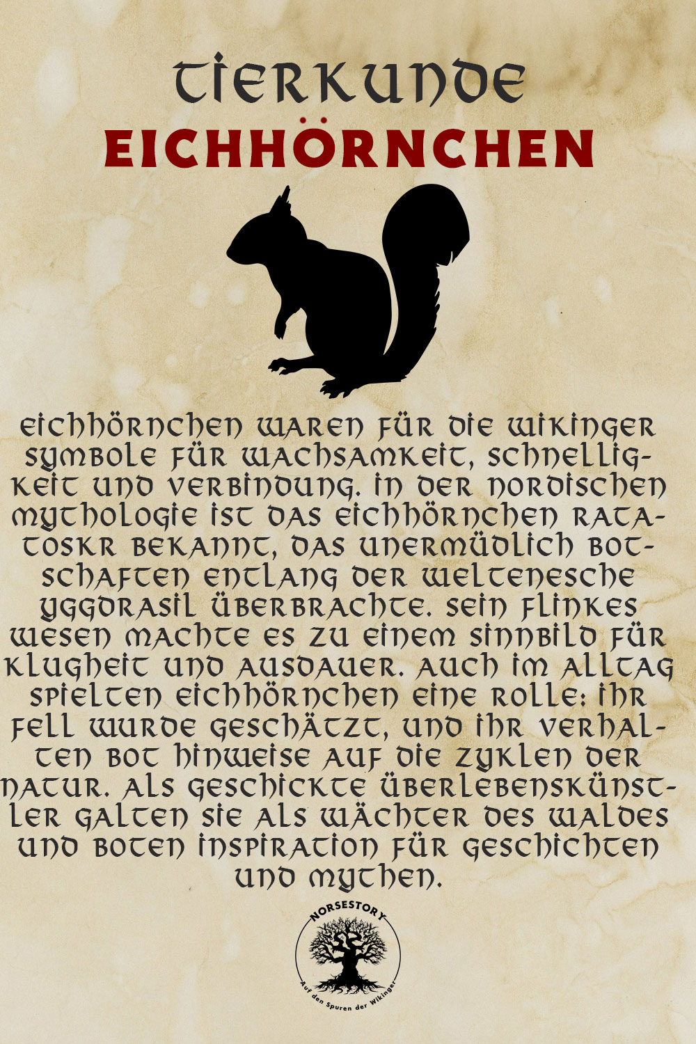 Tiere der Wikinger - Tiere aus der nordischen Mythologie: Das Eichhörnchen