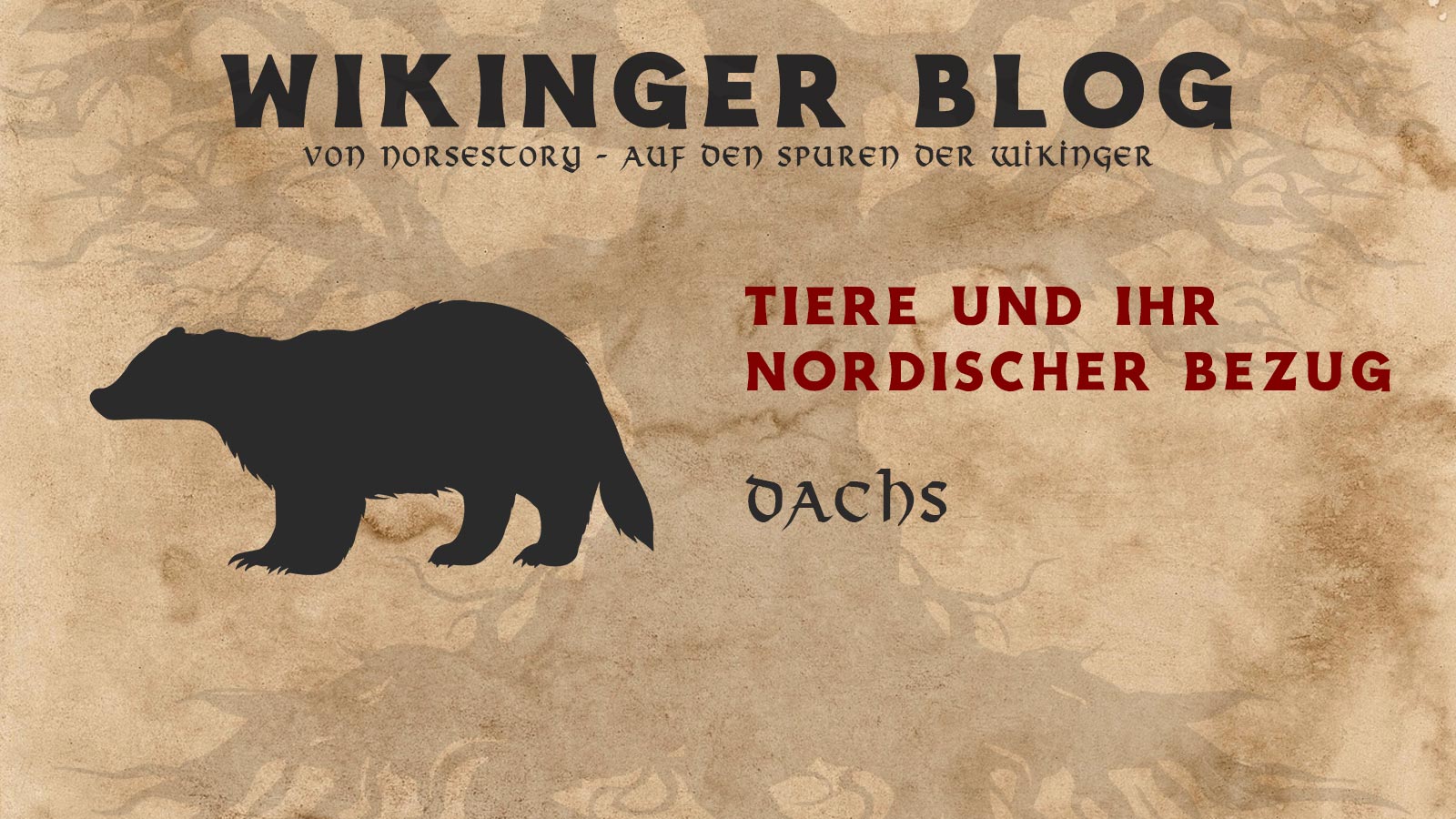 Tiere der Wikinger: Dachs Tiere der Wikinger: Dachs