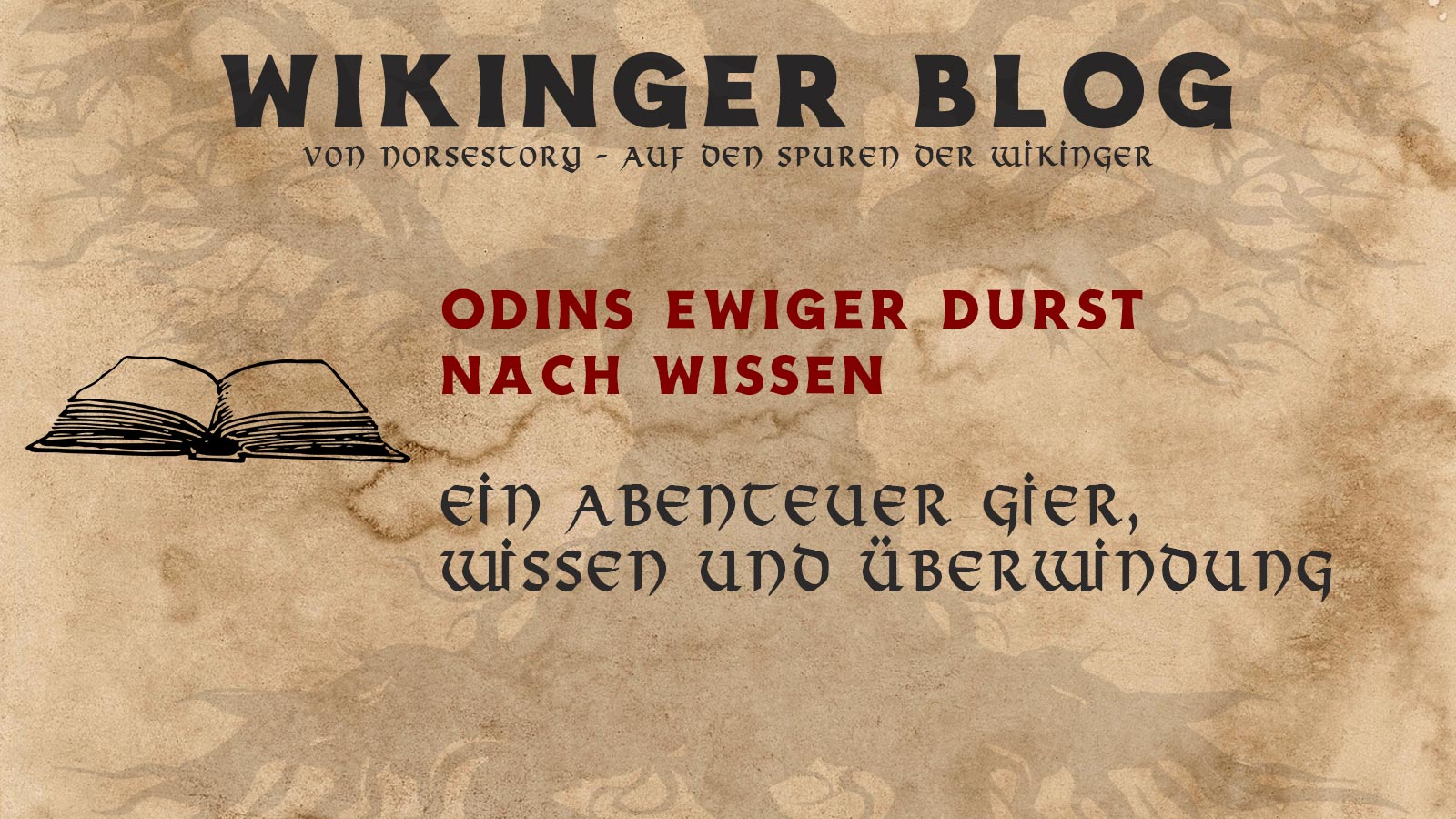 Geschichten der Wikinger: Odins Auge