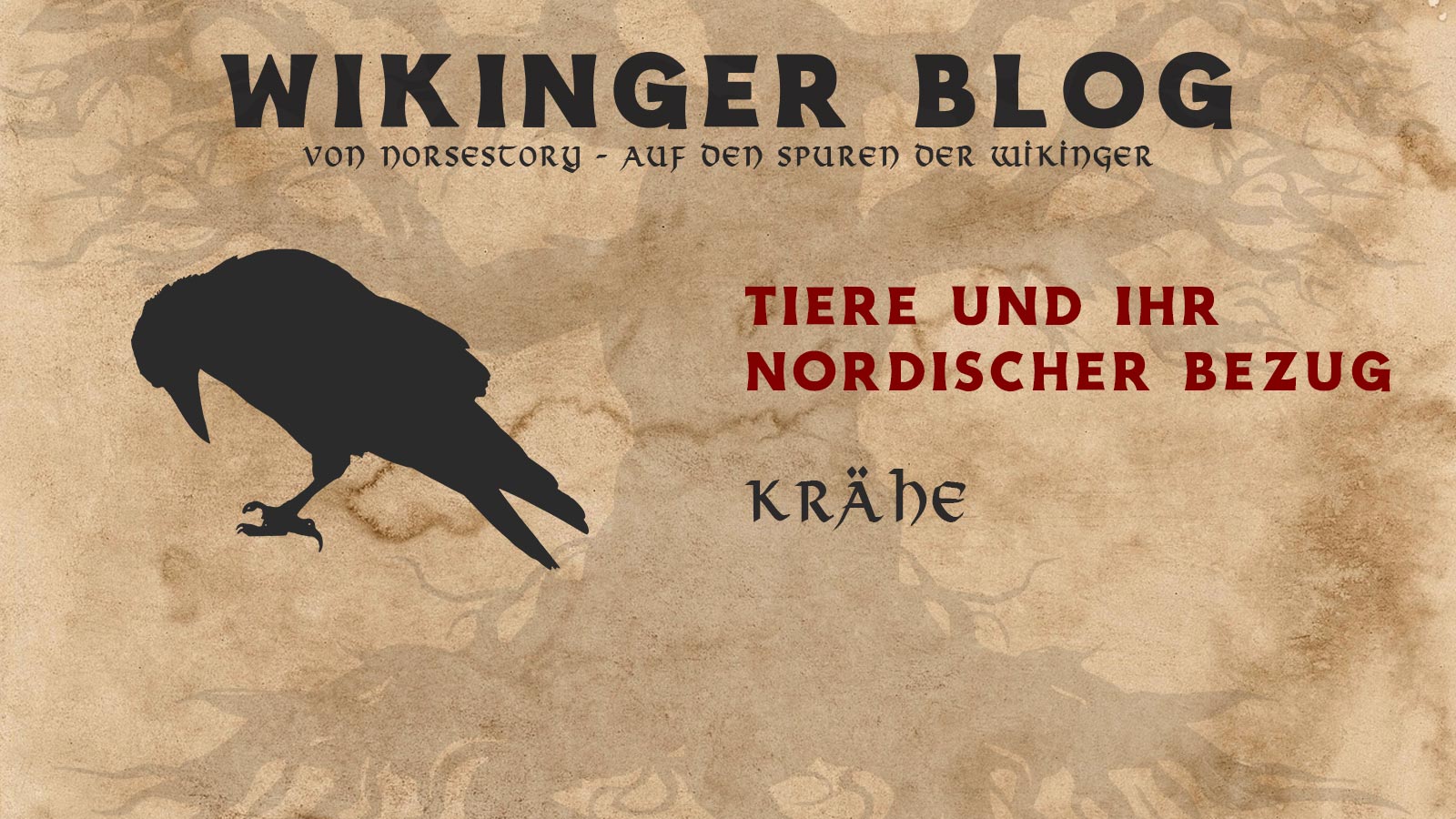 Tiere der Wikinger: Krähe