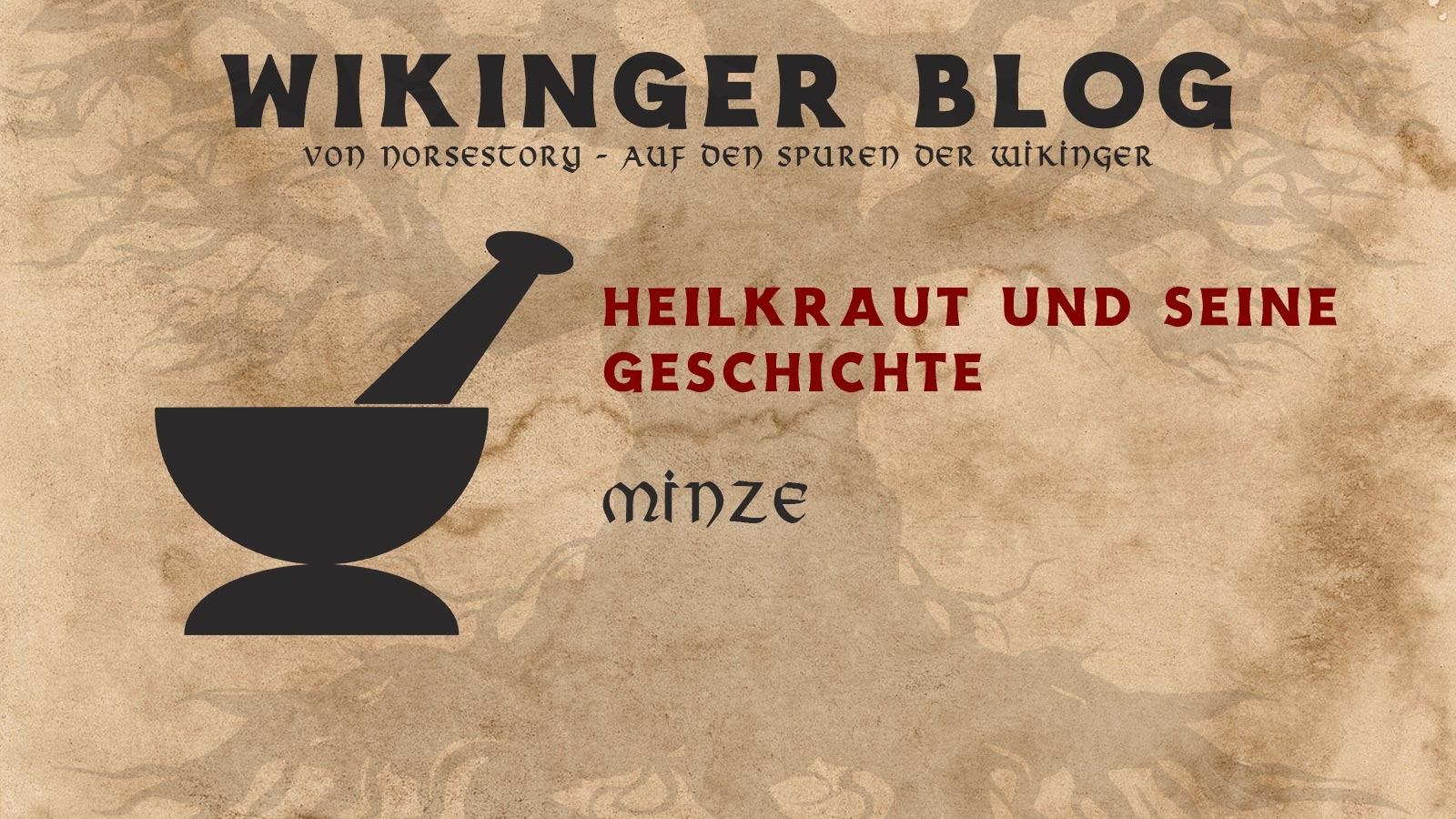 Kräuter der Wikinger: Minze