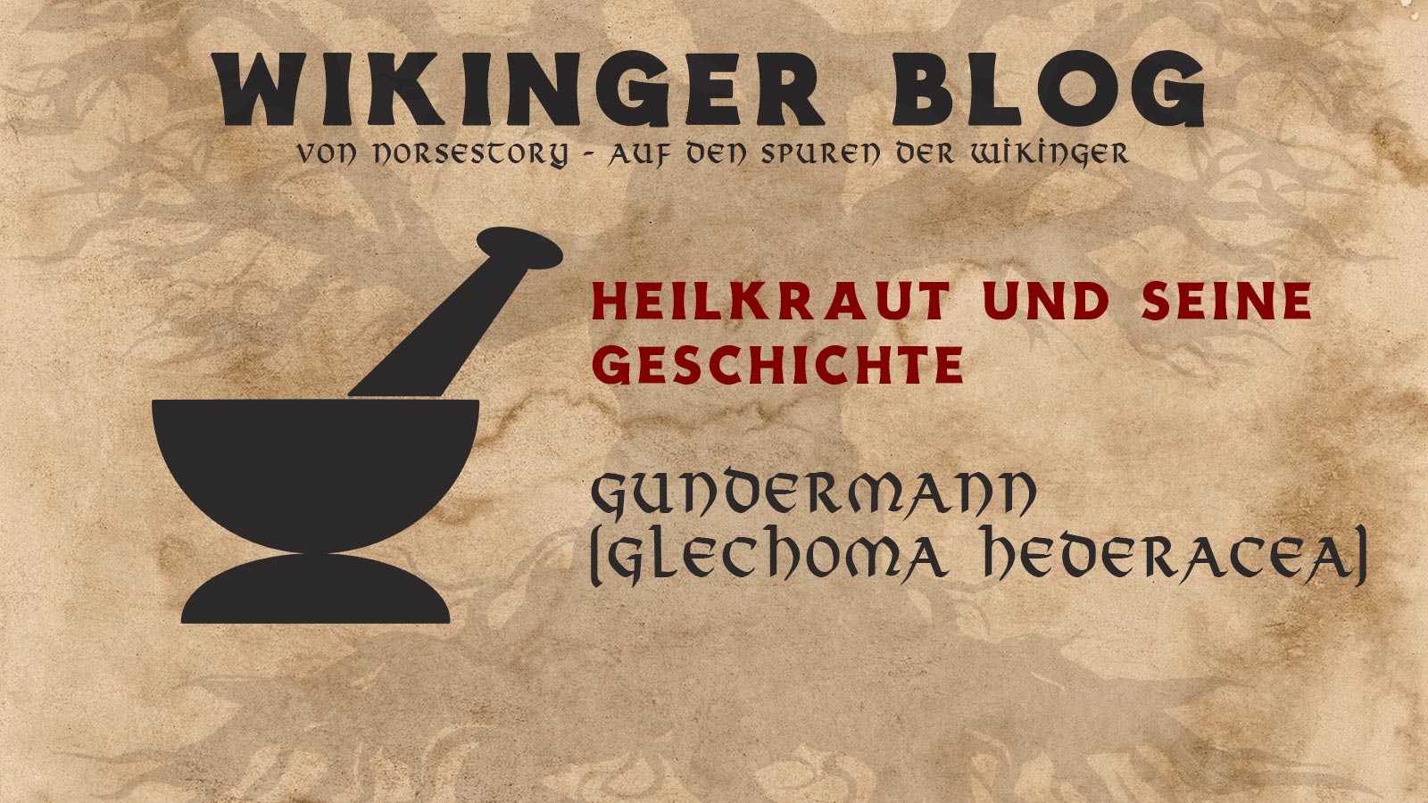 Kräuter der Wikinger: Gundermann