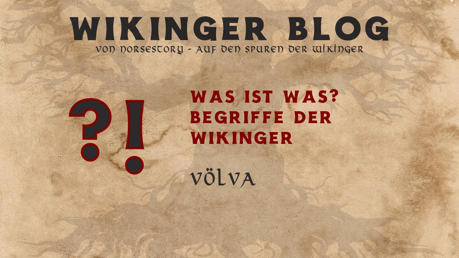 Wikinger Begriffe Völva