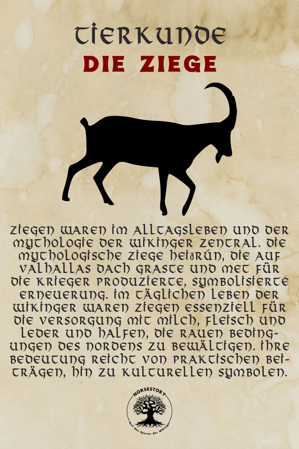 Tiere der Wikinger - Tiere aus der nordischen Mythologie: Die Ziege