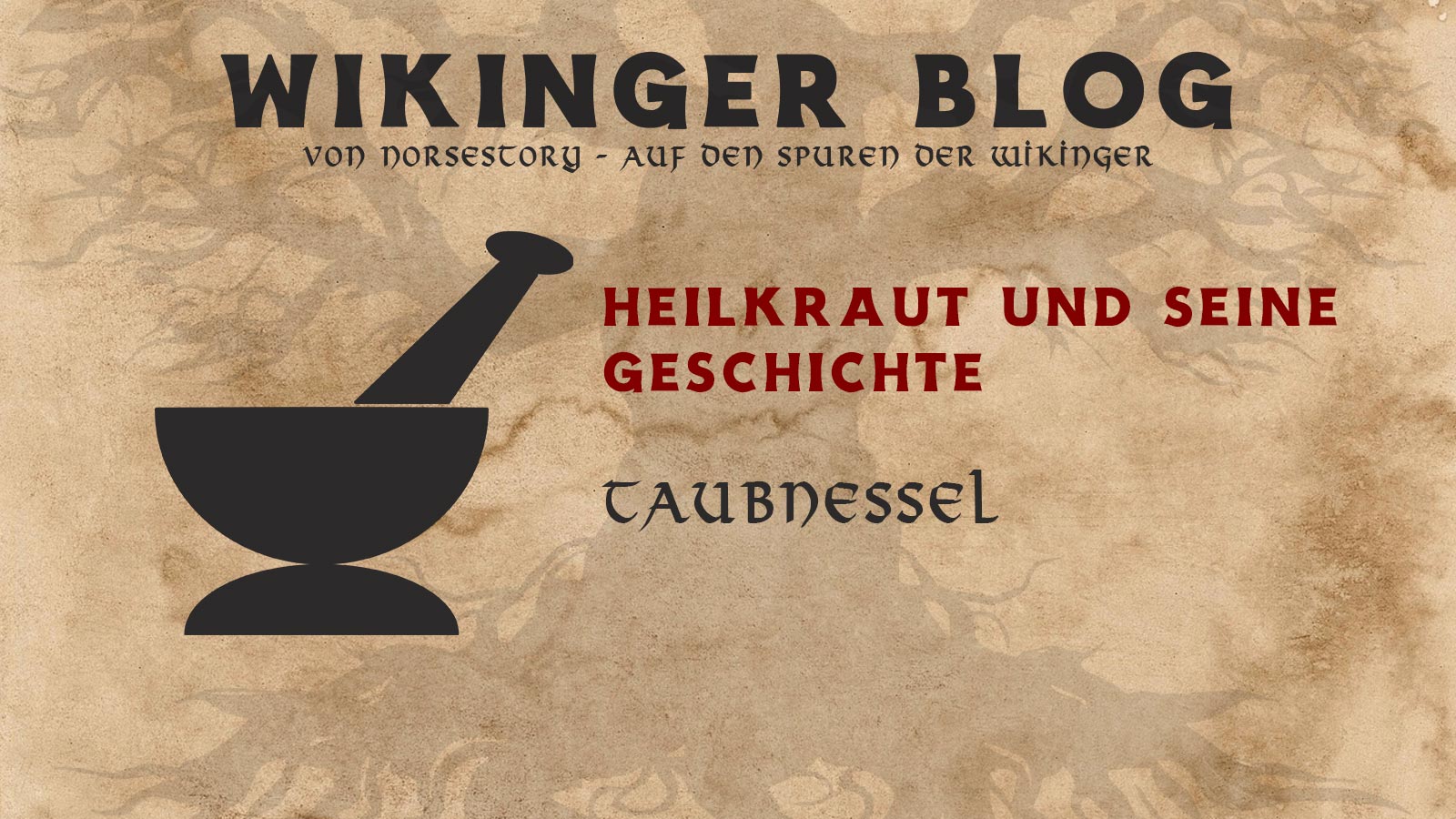 Kräuter der Wikinger: Taubnessel