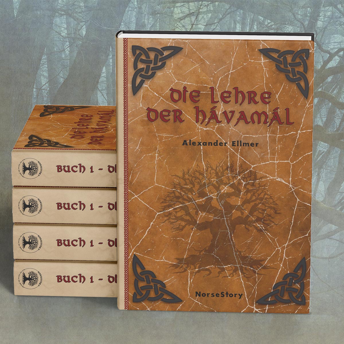 Die Hávamál in deutscher Hardcover Variante
