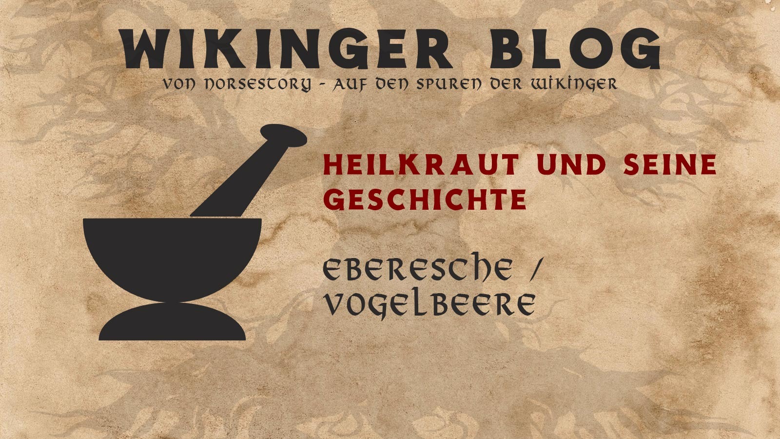 Kräuter der Wikinger: Eberesche