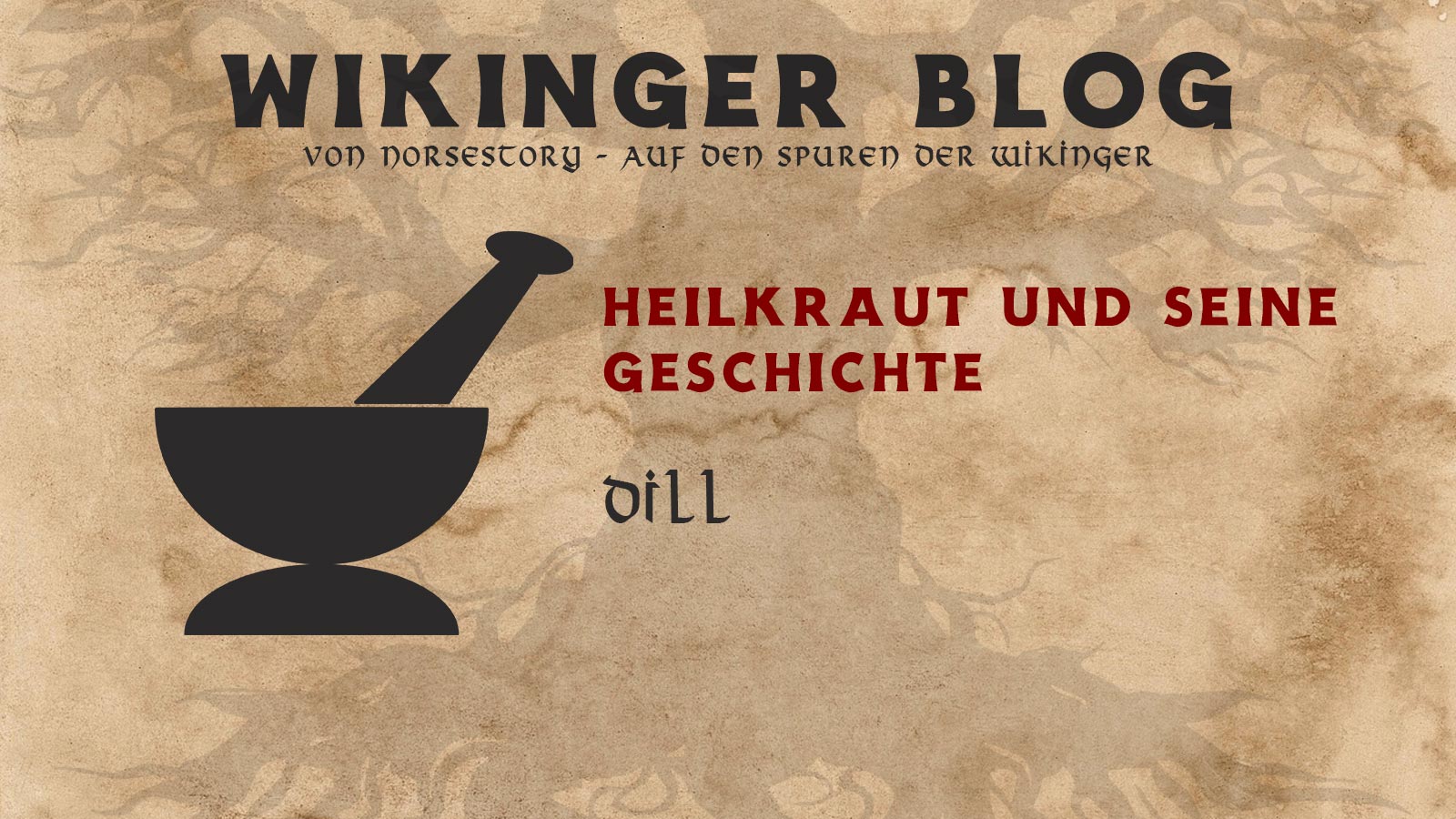 Kräuter der Wikinger: Dill