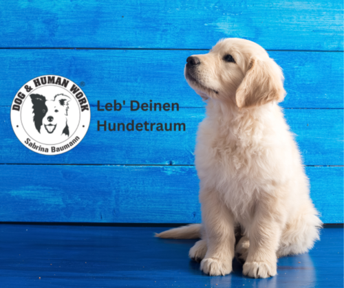 Design ohne Titel (1).png