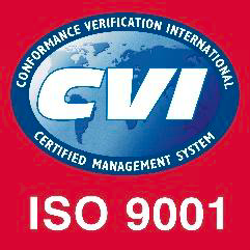 iso 9001.png