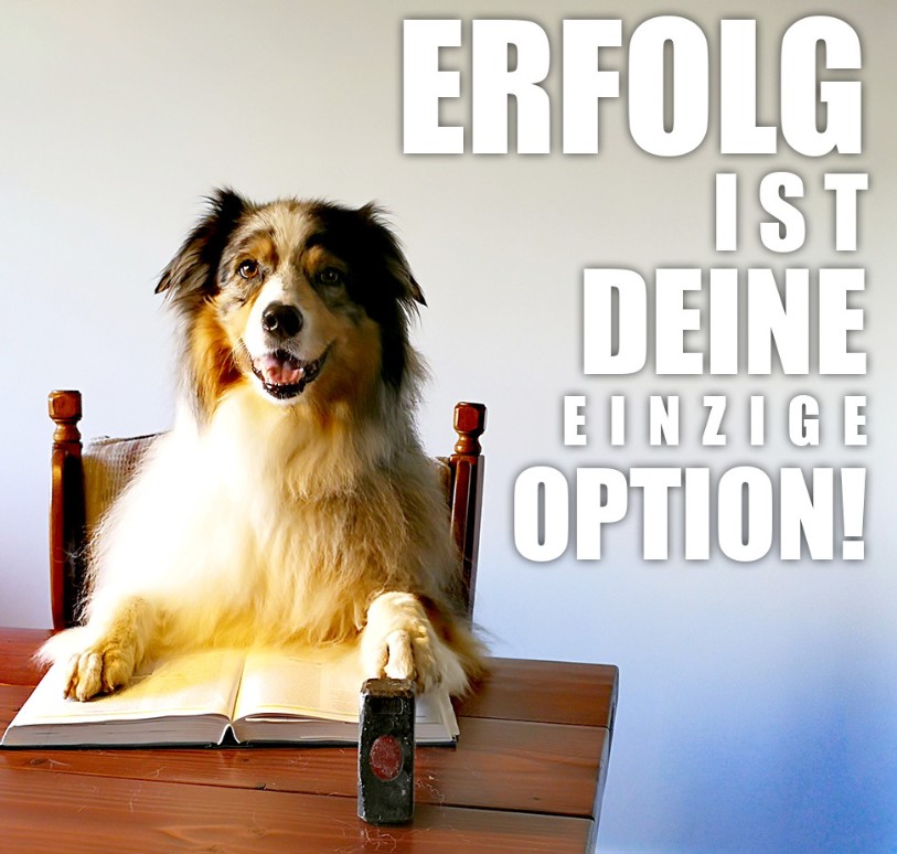 Modul Icon