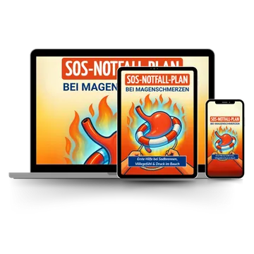 SOS-Notfallplan bei Magenschmerzen, Sodbrennen und Gastritis