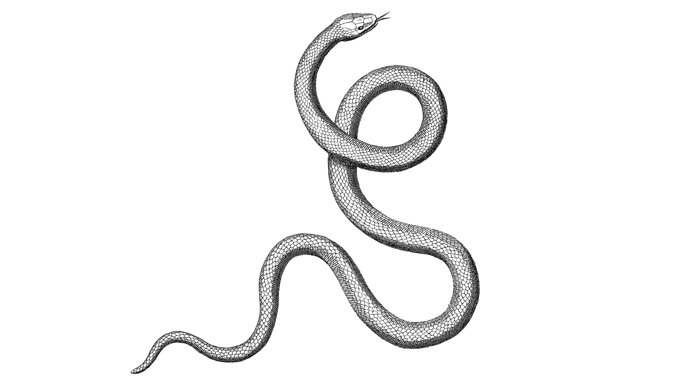 kundalini awakening.png