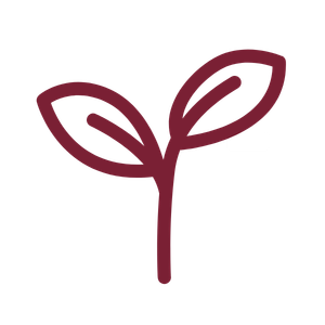 Blatt 300x300.png