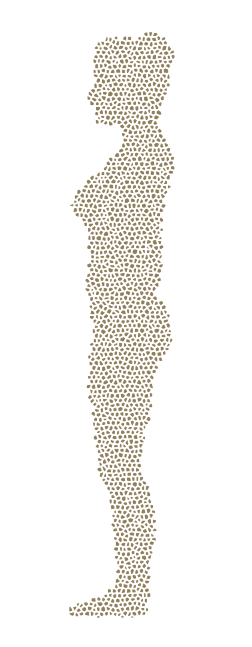2_Stephanie_Bild (1).png