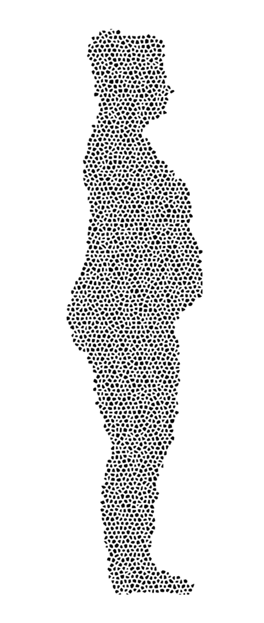 2 (12).png