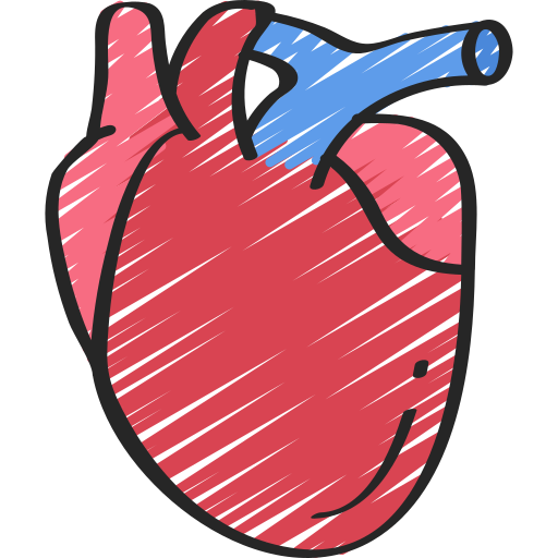 body-organ.png