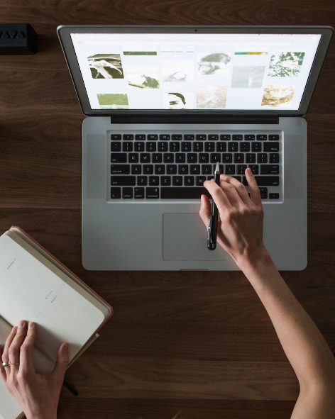 Biskuit Abenteuer Bild Postkarte (4 x 5 cm)-2.png