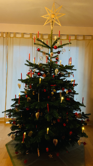 Unser Weihnachtsbaum